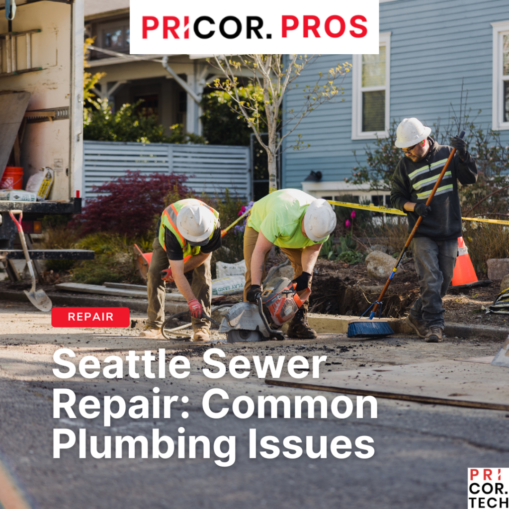 Cover image for blog post about common plumbing issues in Seattle.