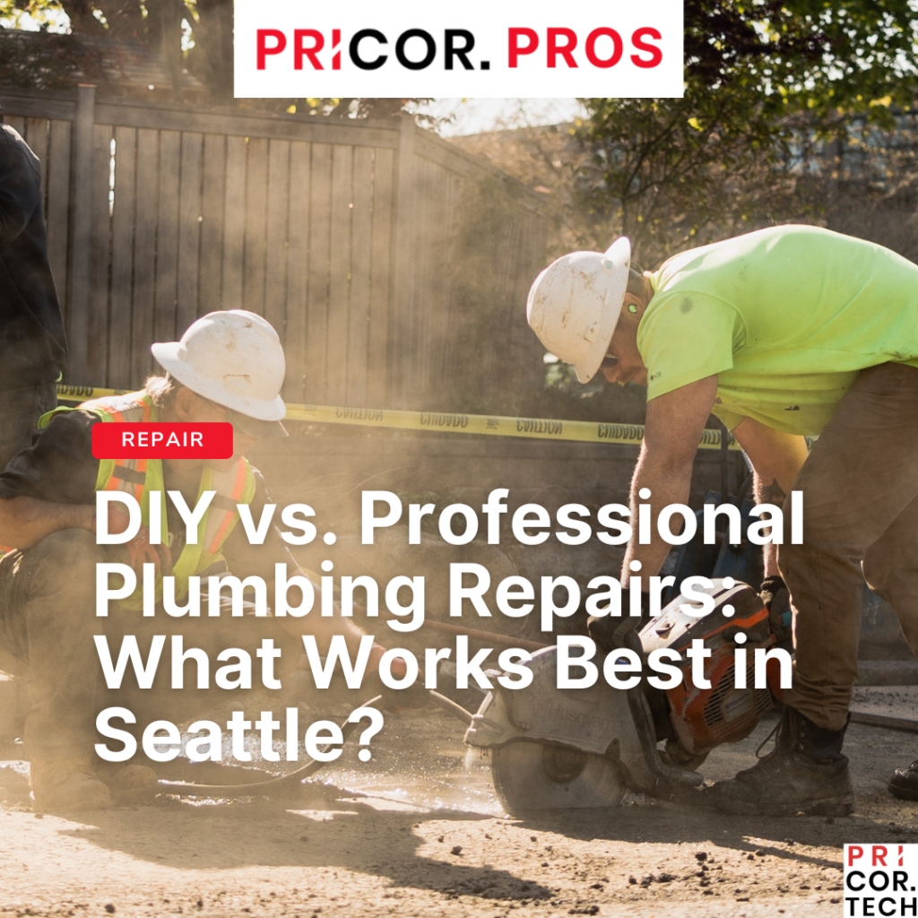 DIY vs. Professional Plumbing Repairs. What Works Best in Seattle?