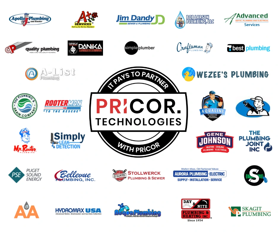 PRiCOR Partners Graphic - Jan 2025